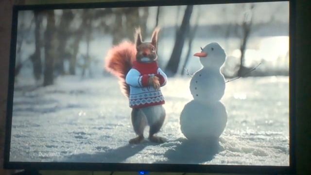белки на первом смотреть онлайн