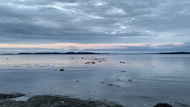 Shanti Mantra- Mantra for Peace With Nature Sounds смотреть онлайн