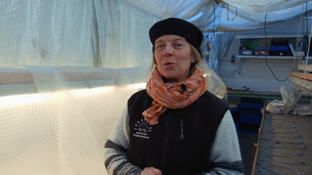 Förkultivering Värme & Ljus - Kosters Trädgårdar смотреть онлайн