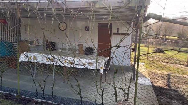 Дача в Германии. 26 выпуск. Как поставить беседку или павильон? Для начала строим площадку. смотреть онлайн