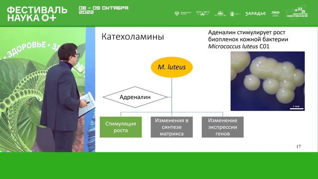 Андрей Ганнесен смотреть онлайн