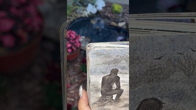 Обзор МАК карт рефлексия смотреть онлайн