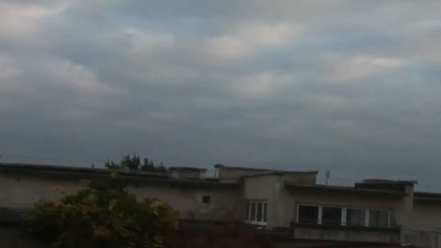 10.21г Едем в Сафари парк Тайган. смотреть онлайн
