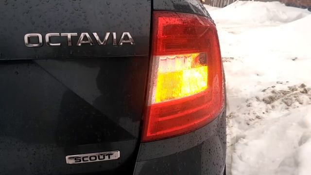 Светодиодный поворот в зад Октавия А7 смотреть онлайн