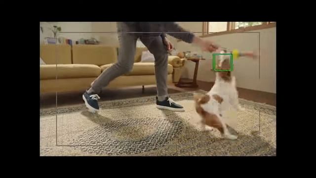 sony xperia 5 mark 3 смотреть онлайн