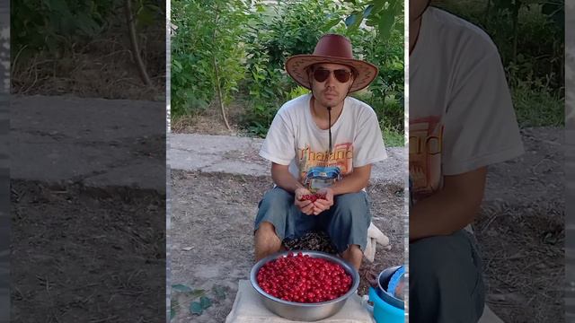 ALMASHAN.BOLISBEK.TIK-TOK-KER. ЧЕРЕШНЫЙ. смотреть онлайн