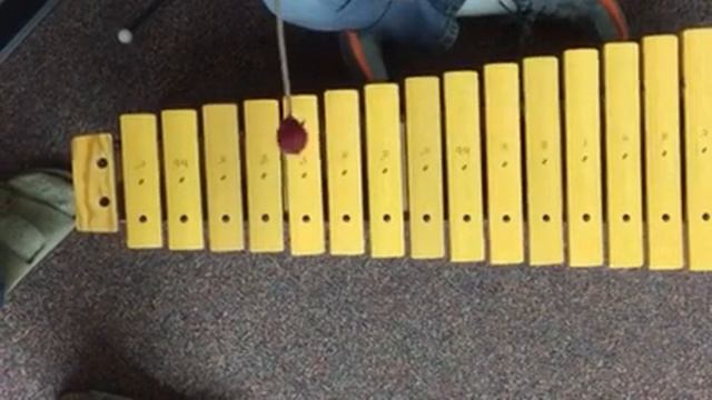 Seward Elementary: a Twinkle in octave смотреть онлайн