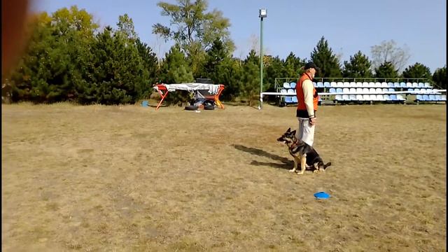 Обиденс Тренинг смотреть онлайн