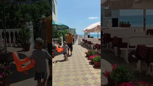 бежим купаться в море! лоо смотреть онлайн