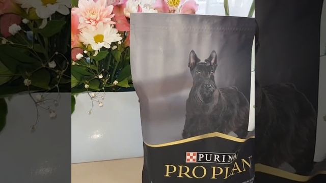 Проплан, proplan! смотреть онлайн