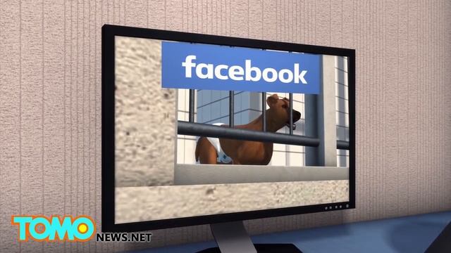 Женщину, запостившую фото собаки в памперсе, посадили в тюрьму смотреть онлайн