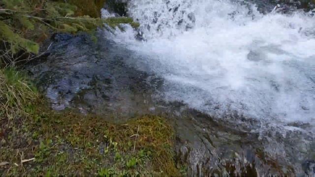 209. Lost Lake, Tarp Shelter, Stick Stove. Solo Wilderness Mountain Adventure. смотреть онлайн
