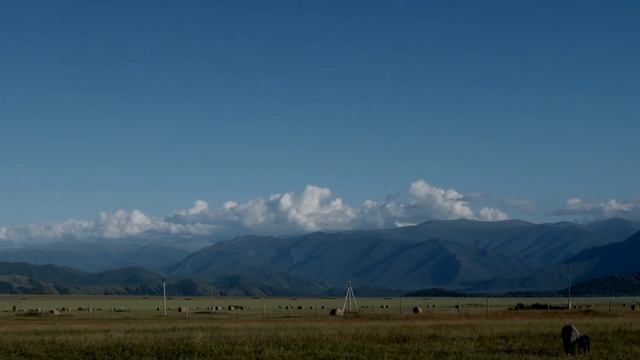 Небо и бабочка в августе на Алтае смотреть онлайн