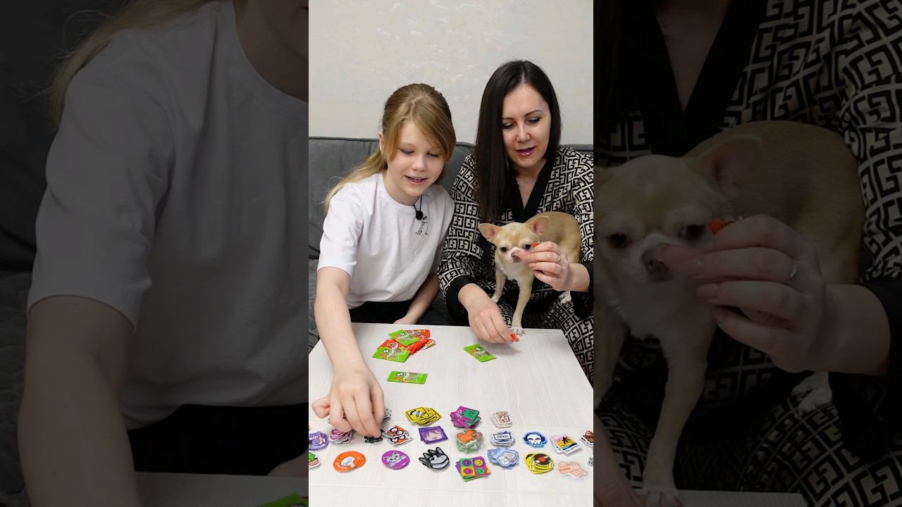 Получится ли собрать коллекцию стикерсов от Магнит? Розыгрыш в телеграм! смотреть онлайн