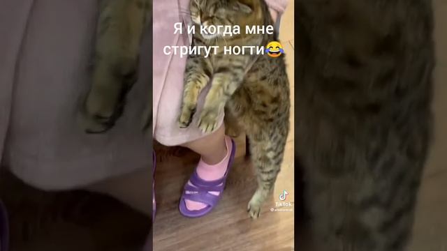 когда тебе стригут ногти