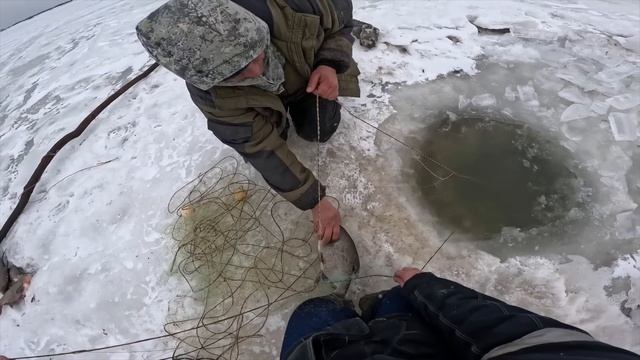 Вот это улов! Поймали два мешка рыбы! Утопили снегоход и пошли пешком снимать сети. Огромные лещи! смотреть онлайн