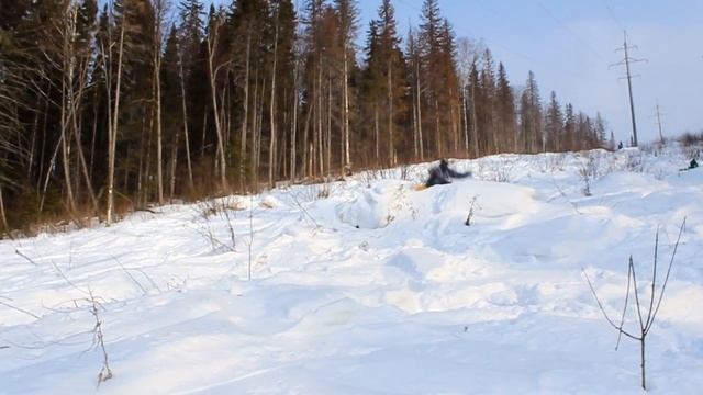 Павловский парк 11.03.12 смотреть онлайн