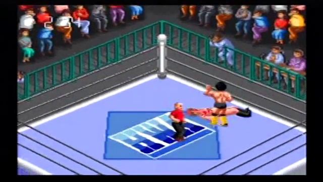 SUPER FIRE PROWRESTLINGⅢ FINAL BOUT 【スーパーファイヤープロレスリングⅢ ファイナルバウト】 (5)