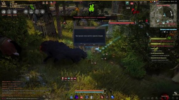 Детальный обзор Black Desert