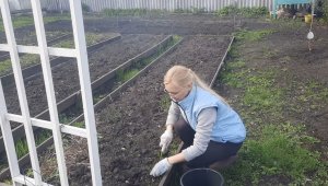 НА ЛЮБИМОЙ ДАЧЕ В КОНЦЕ АПРЕЛЯ.