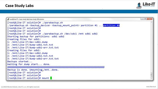 Case Study Lab VII: Parallel backup of partitions on external storage смотреть онлайн