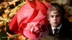 Стихи Есенина. Ты прохладой меня не мучай. Сергей Есенин. Стихи о ЛЮБВИ 💖