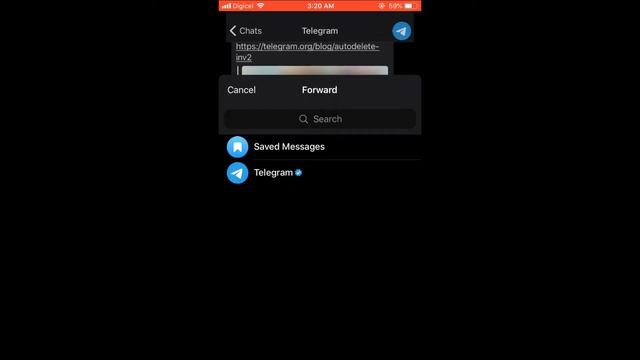 how to forward messages on telegram смотреть онлайн