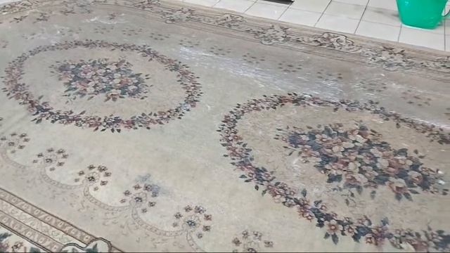 Satisfying Carpet Washing Live / Стирка ковров Live 22.09.21