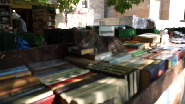 один день из жизни/Ростов-на-Дону/ смотреть онлайн