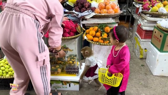 Experience Diem's Colorful Market Outing with Monkey Kaka смотреть онлайн