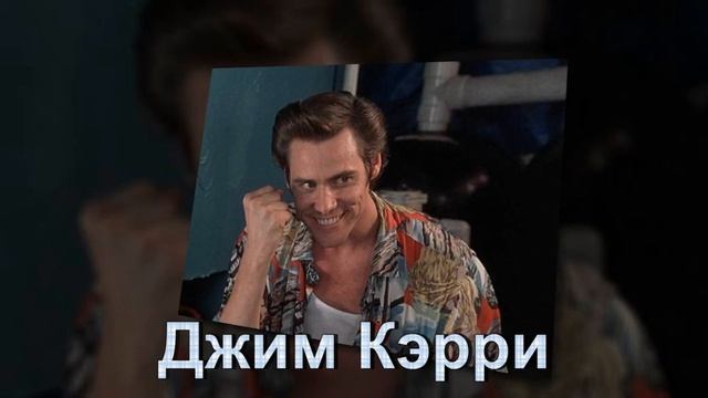 Кто бы мог подумать  Знаменитости с поясами по БЖЖ