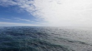 Бесплатный Футаж 4К - Фон океана в бесконечный цикл версия 05