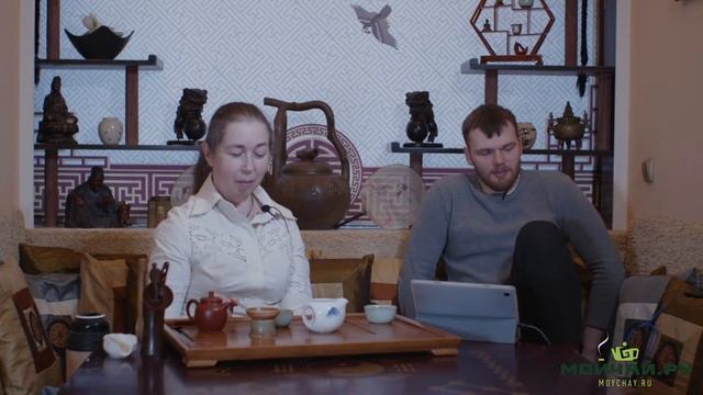 ?️ Беседы под пиалочку). смотреть онлайн