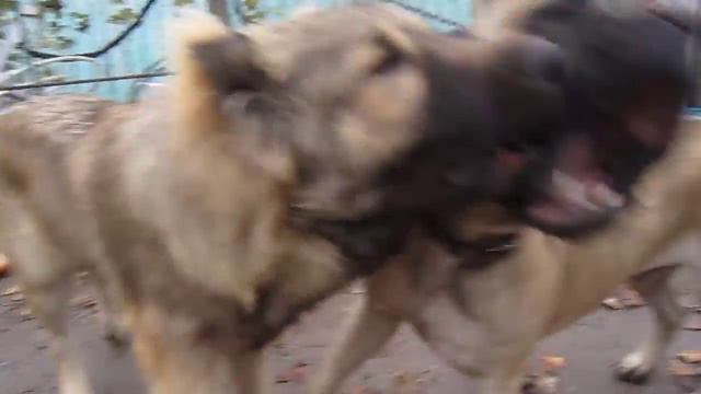 Гром смотреть онлайн