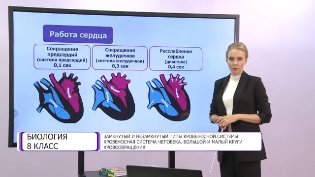 Биология. 8 класс. Замкнутый и незамкнутый типы кровеносной системы /15.12.2020/ смотреть онлайн