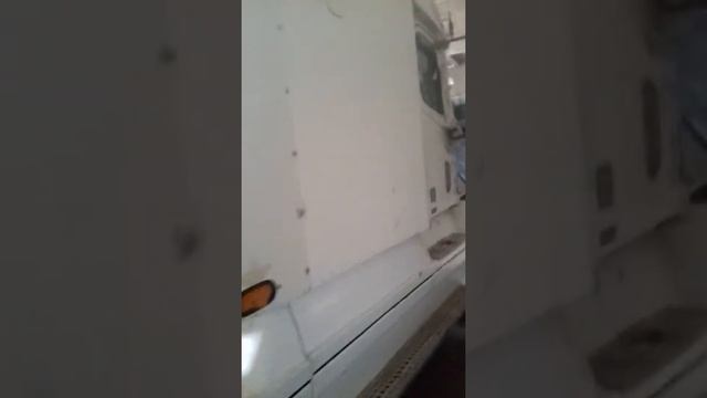 Американский Трак  Фредлайнер  жизнь в России