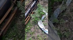 Какой же дискатор выбрать для мтз-82