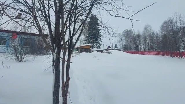 25.01.23. Татьянин День. Татьяна Крещенкая. Зачем сегодня кричали "Шара, приди!"? смотреть онлайн