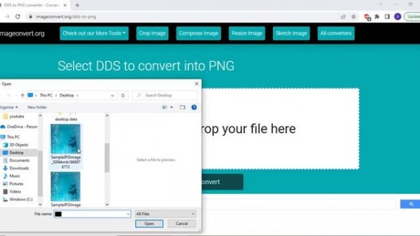 How to convert DDS to PNG