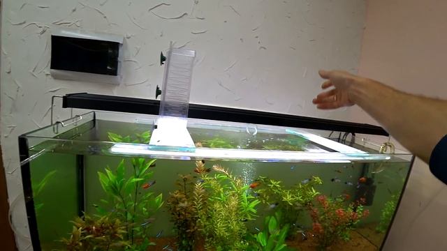 Продаю аквариум мажора смотреть онлайн