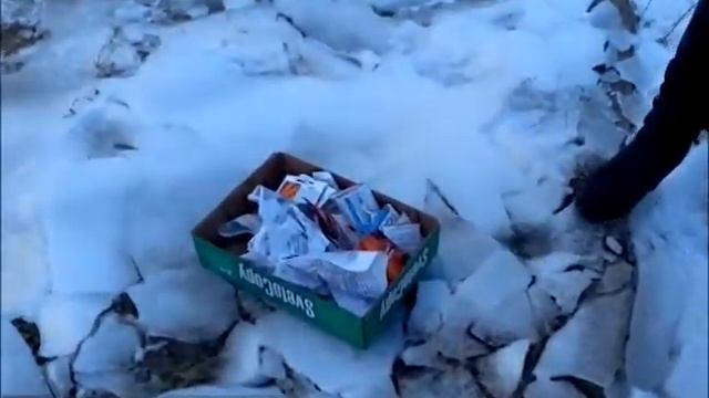 О выявлении и уничтожении зараженных карантинными сорняками семян овощных культур смотреть онлайн