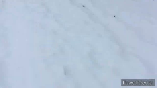 Сильный снегопад! Лучшие лесные зимние пейзажи за ноябрь 2020! 20 ноября 2020 года смотреть онлайн