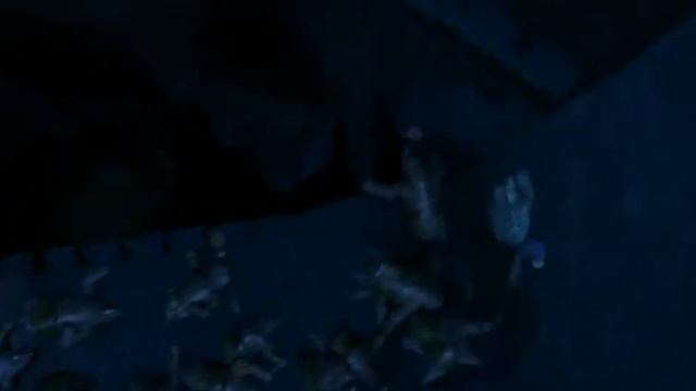 Kung fu Panda: Tilang Escaping from Prison смотреть онлайн