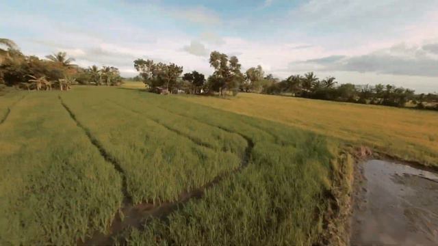 #DJI #Avata NO FPV DRONE EXPERIENCE [4K] GONE WILD | Scared of Tumble Effect смотреть онлайн