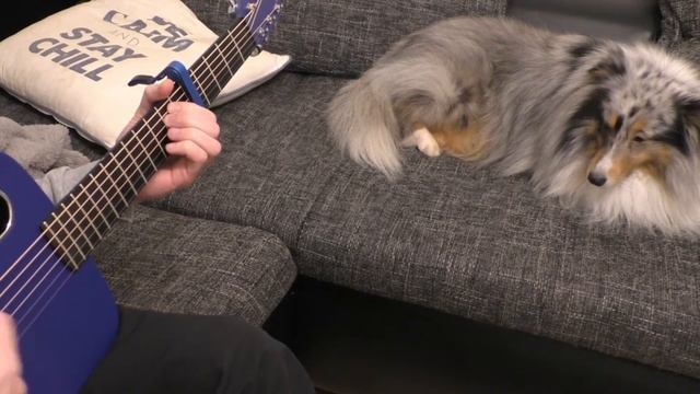 Torn Cover on LAVA Music ME 2 Freeboost смотреть онлайн