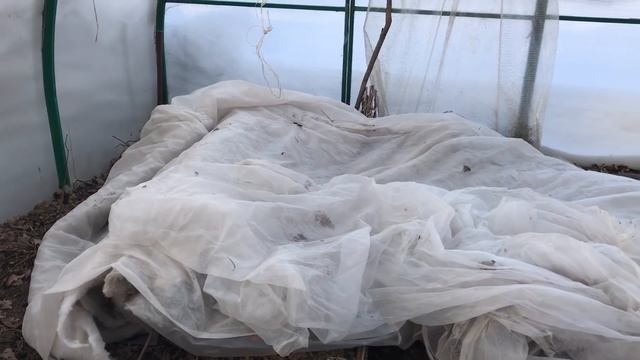 27 марта утепляю грядки с зеленью в теплице. Рассада смотреть онлайн
