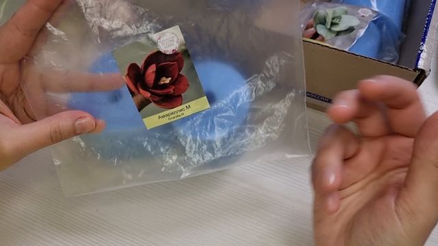 Распаковка силиконовых форм от формадела My favorite forms смотреть онлайн