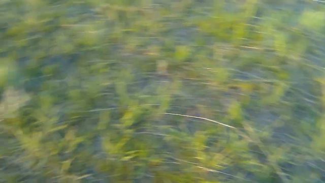 иследую горы серия 1