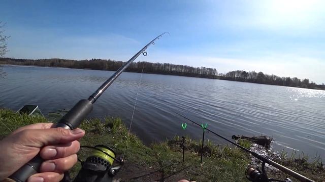 ЛОВЛЯ КРУПНОГО КАРАСЯ НА ПРУЖИНКУ. ПРОВЕДАЛИ ПРУД ДЕТСТВА НА НАЛИЧИЕ ВЕСЕННИХ КАРАСЕЙ И НЕ ПРОГАДАЛ смотреть онлайн