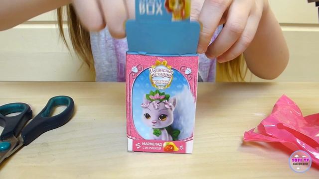 Коробочки Sweetbox Королевские питомцы